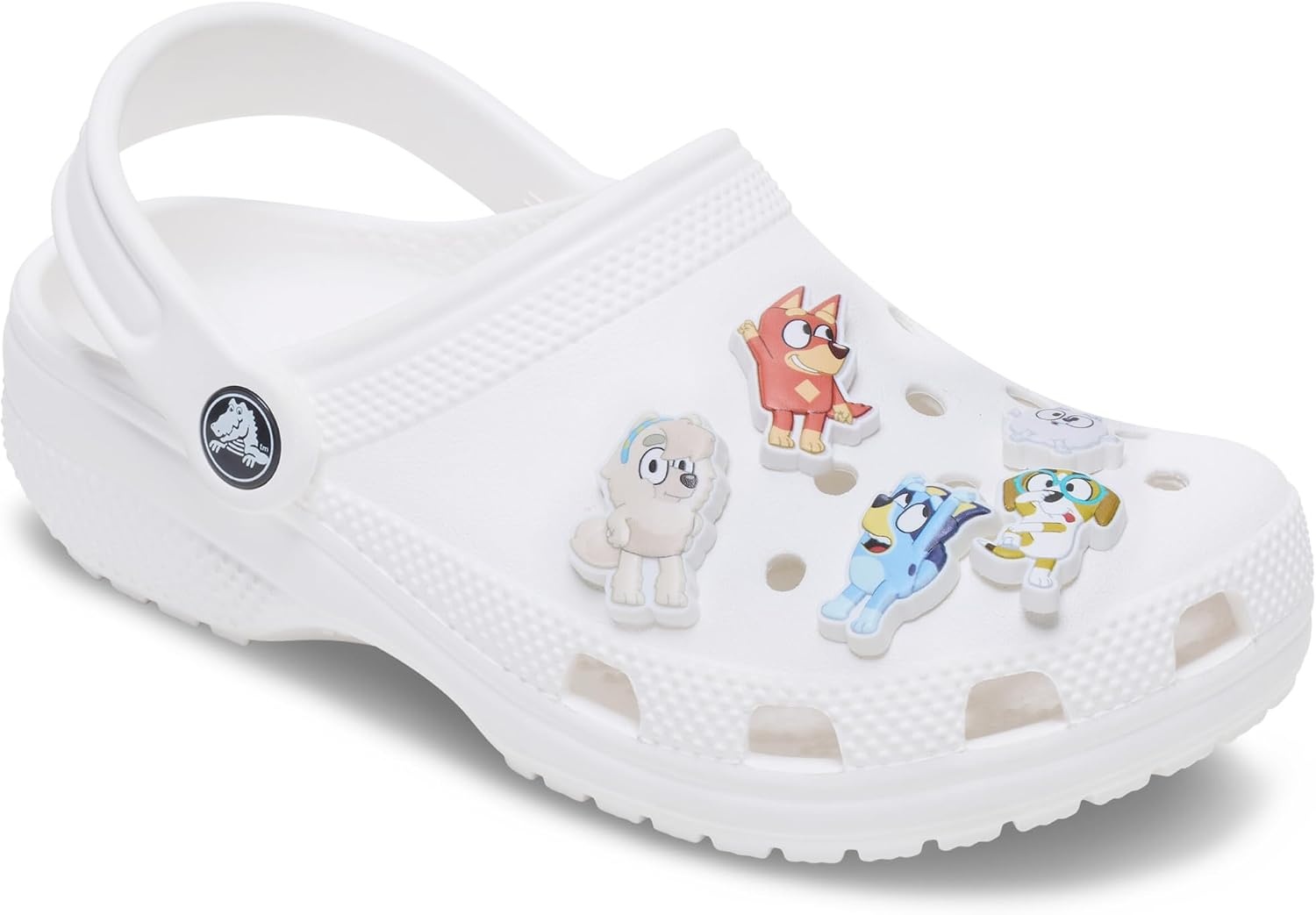 image:imageCrocs Jibbitz Kids Characters Shoe Charm PacksBluey Multi