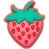Strawberry Fruit